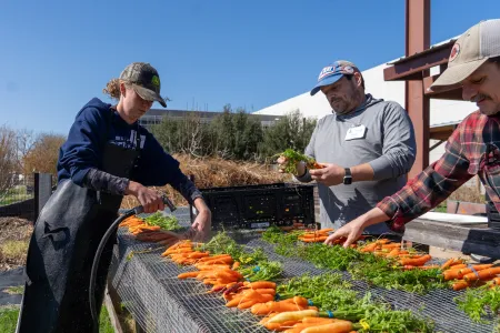 CTFB Volunteer at Fresh Market Farm