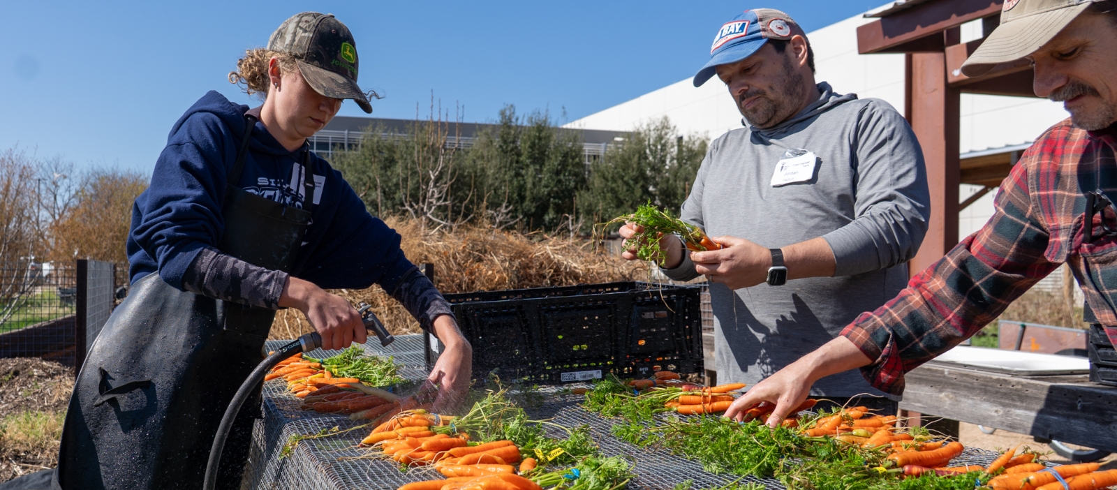 CTFB Volunteer at Fresh Market Farm